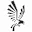 Black Hawk Japan